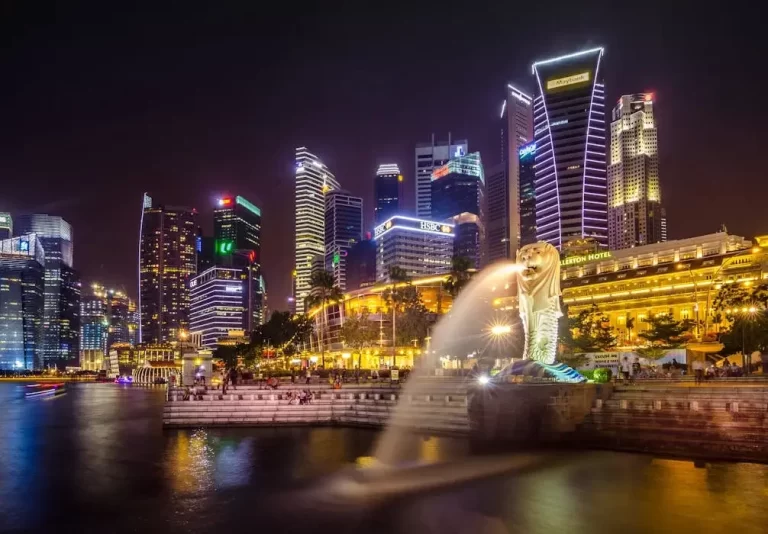Night view of the Merlion statue and Singapore financial district skyline.